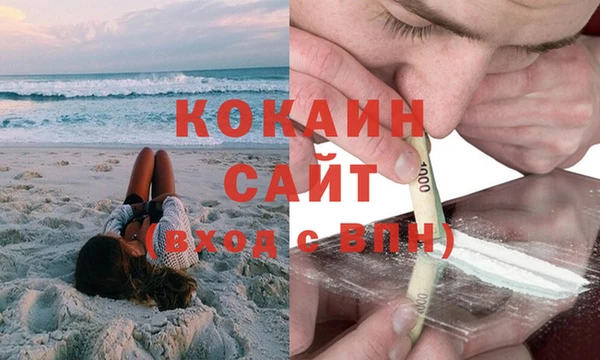 PSILOCYBIN Богородск