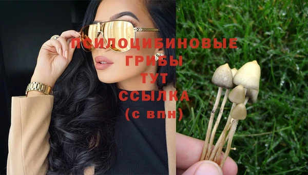 хмурый Белоозёрский