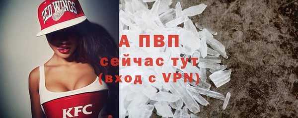 не бодяженный Белокуриха